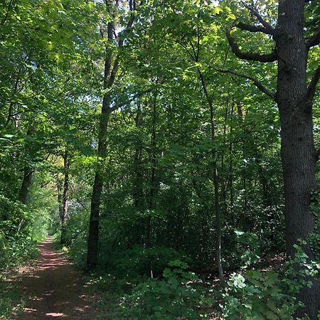 Villa De Bosrand Grenzend Aan Het Bos Castricum Exterior foto