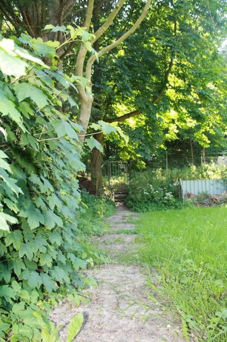 Villa De Bosrand Grenzend Aan Het Bos Castricum Exterior foto