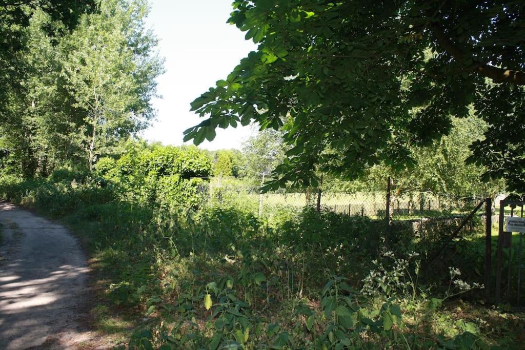 Villa De Bosrand Grenzend Aan Het Bos Castricum Exterior foto